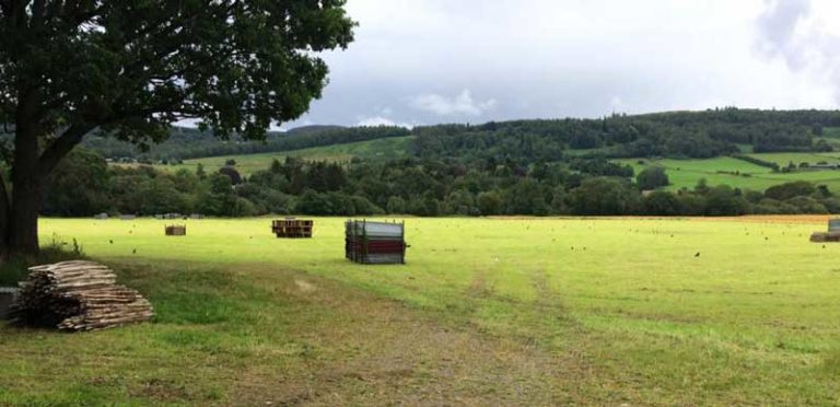 Wade's Park, Aberfeldy yesterday.